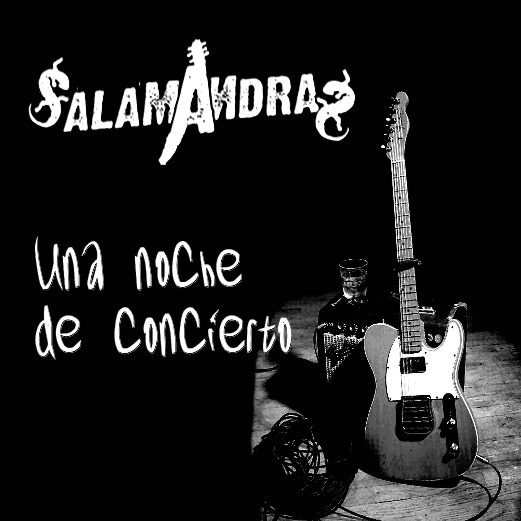 una noche de concierto (1)